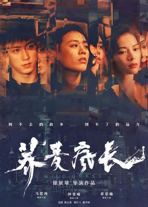 高中毕业证的学号是几位数?